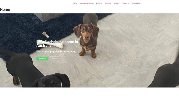 Aus-dachshund.com - Dachshund Puppy Scam Review