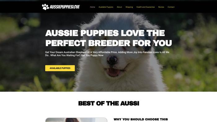 Aussiepuppieslove.com - Australian Shepherd Puppy Scam Review