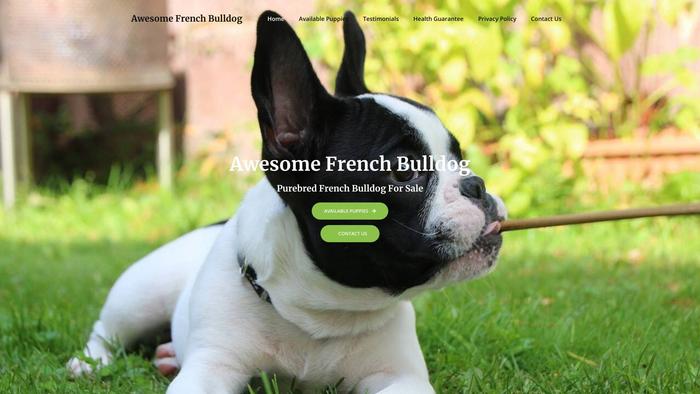 Awesomefrenchbulldog.com - French Bulldog Puppy Scam Review