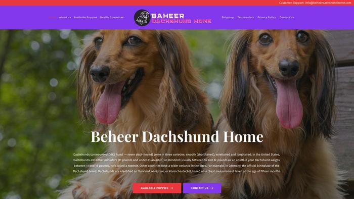 Beheerdachshundhome.com - Dachshund Puppy Scam Review