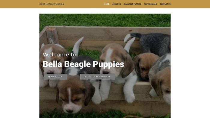 Bellabeaglepuppies.com - Beagle Puppy Scam Review