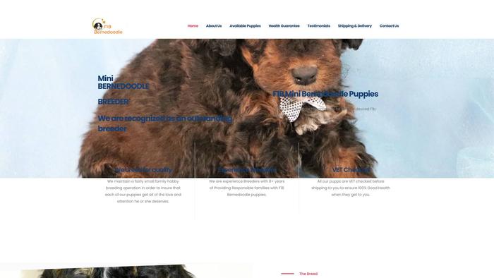 Bernedoodlehomes.com - Bernedoodle Puppy Scam Review