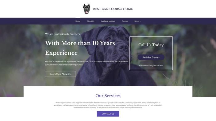 Bestcanecorsohome.com - Cane Corso Puppy Scam Review