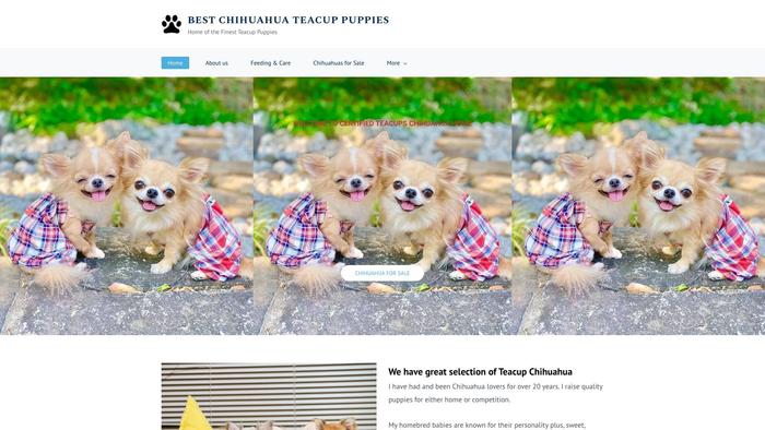 Bestchihuahuahome.com - Chihuahua Puppy Scam Review