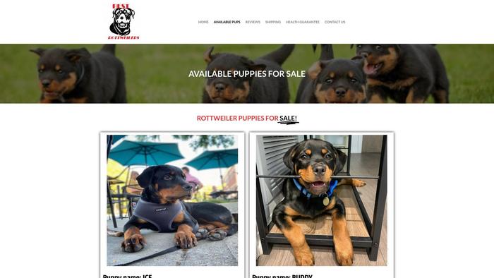 Bestrottweilerpuppies.com - Rottweiler Puppy Scam Review