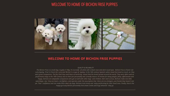 Bichonfrisepuppieshome.net - Bichon Frise Puppy Scam Review