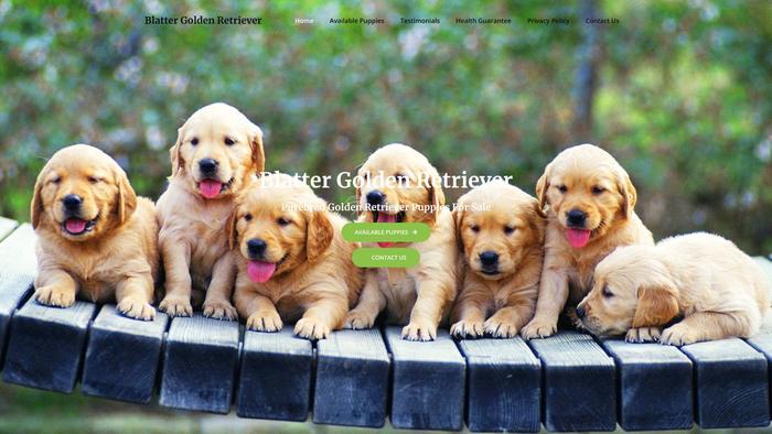 Blattergoldenretriever.com - Golden Retriever Puppy Scam Review