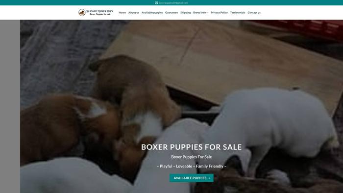 Blessedboxerpups.com - Boxer Puppy Scam Review