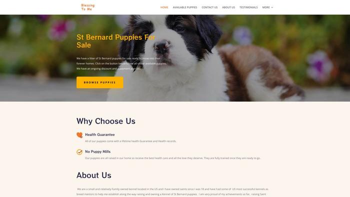 Blessingtome.com - Saint Bernard Puppy Scam Review