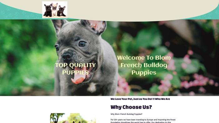 Blomfrenchies.com - French Bulldog Puppy Scam Review