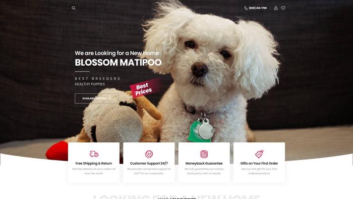 Blossommaltipoos.com - Maltipoo Puppy Scam Review