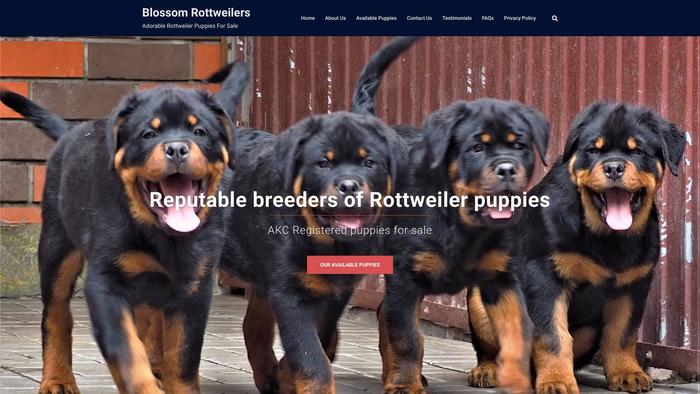 Blossomrottweilers.com - Rottweiler Puppy Scam Review