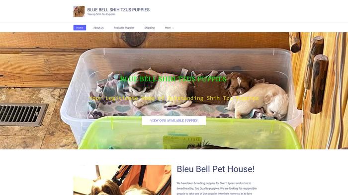 Bluebellshihtzus.com - Shihtzu Puppy Scam Review