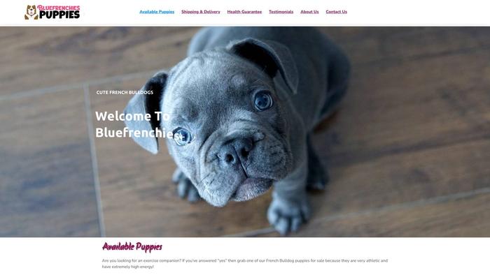 Bluefrenchiestore.com - French Bulldog Puppy Scam Review