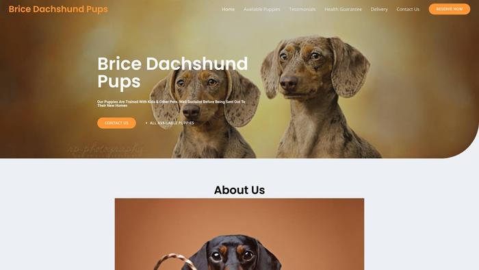 Bricedachshundpups.com - Dachshund Puppy Scam Review