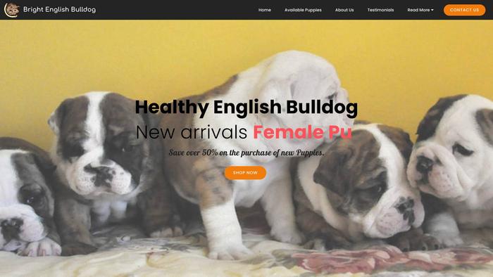 Brightenglishbulldogs.su - English Bulldog Puppy Scam Review