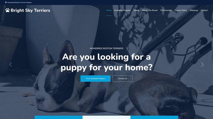 Brightskyterriers.com - Boston Terrier Puppy Scam Review