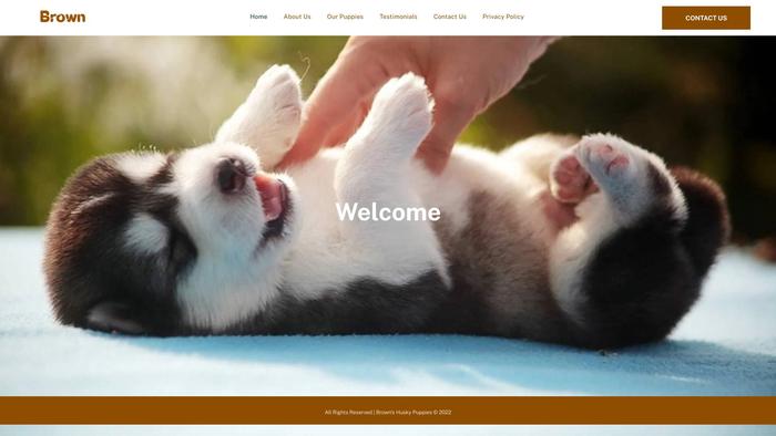 Brownshuskypuppies.com - Husky Puppy Scam Review