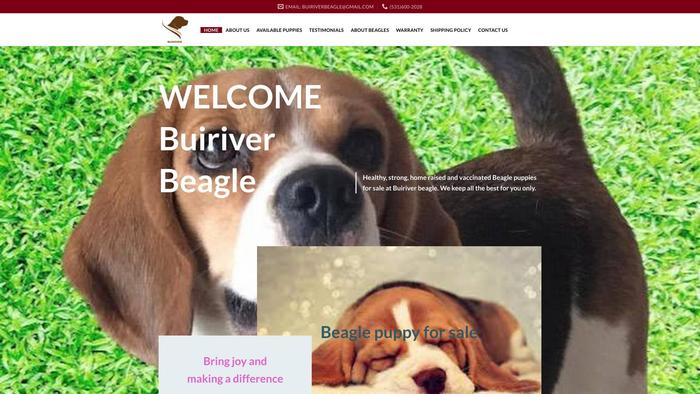 Buiriverbeagle.com - Beagle Puppy Scam Review