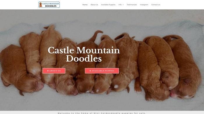 Castlemountaindoodles.com - Labradoodle Puppy Scam Review