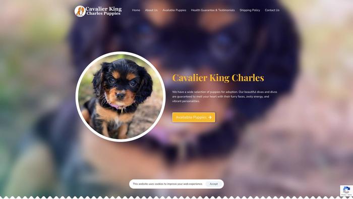 Cavalierkingcharlesluv.com - Cavalier King Charles Spaniel Puppy Scam Review