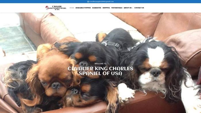 Cavalierkingcharlespanielusa.com - Cavalier King Charles Spaniel Puppy Scam Review