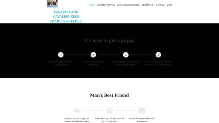 Cavapoo-cavalier-au.com - Cavalier King Charles Spaniel Puppy Scam Review