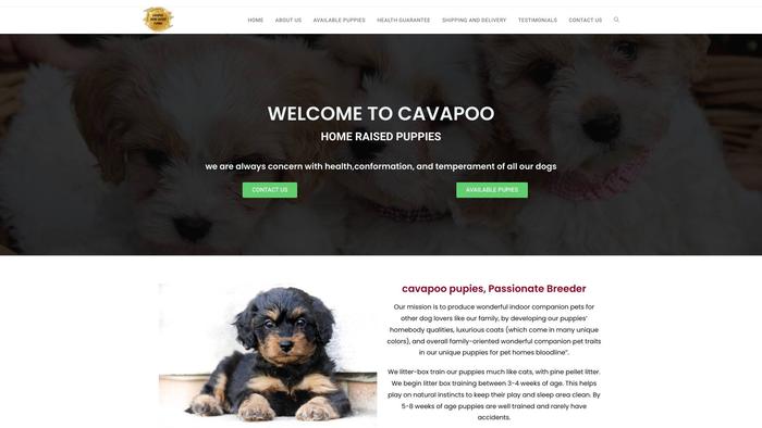 Cavapoohomeraisedpuppies.com - Cavapoo Puppy Scam Review