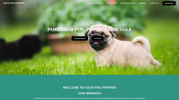 Celticpugpuppies.com - Pug Puppy Scam Review