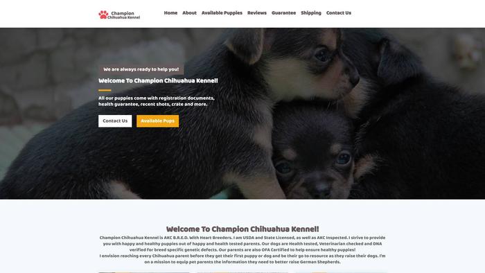 Championchihuahuakennel.com - Chihuahua Puppy Scam Review