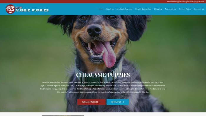 Chiaussiepuppies.com - Australian Shepherd Puppy Scam Review