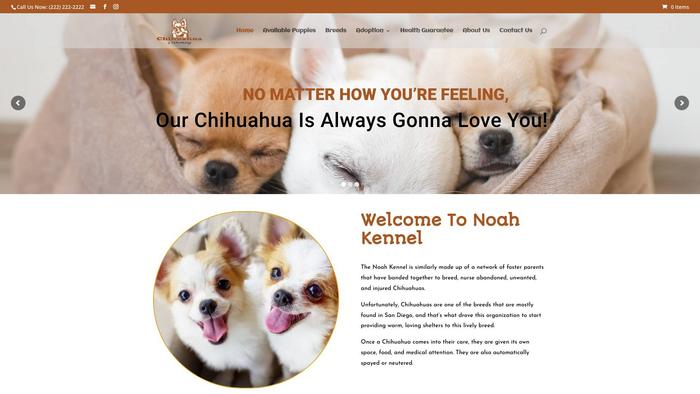 Chihuahua4rehoming.com - Chihuahua Puppy Scam Review