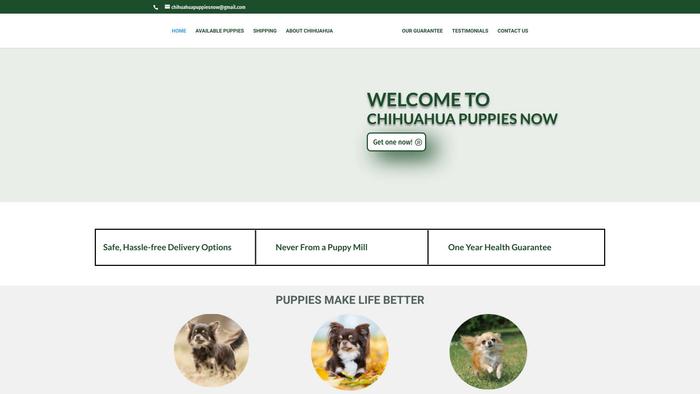 Chihuahuapuppiesnow.com - Chihuahua Puppy Scam Review