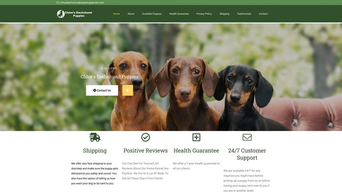 Chloedachshundpuppies.com - Dachshund Puppy Scam Review