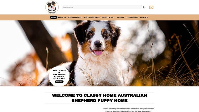 Classyhomeaussie.com - Australian Shepherd Puppy Scam Review