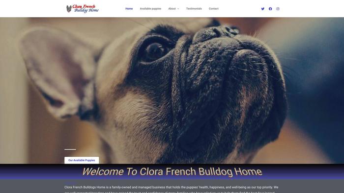 Clorafrenchbulldogpups.com - French Bulldog Puppy Scam Review