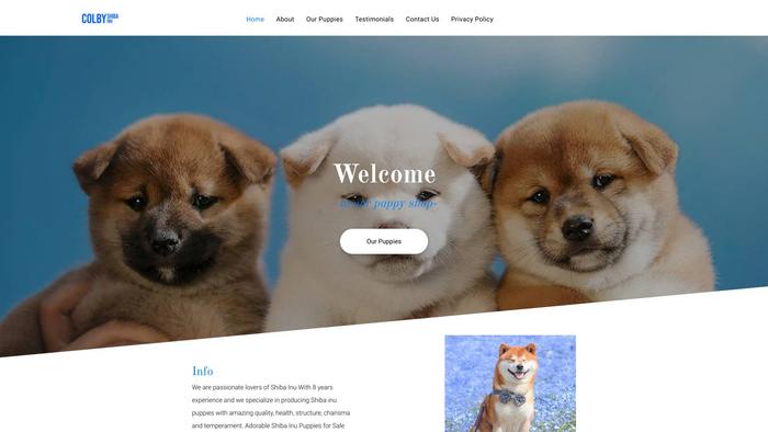 Colbysshibainupuppies.com - Shibhainu Puppy Scam Review