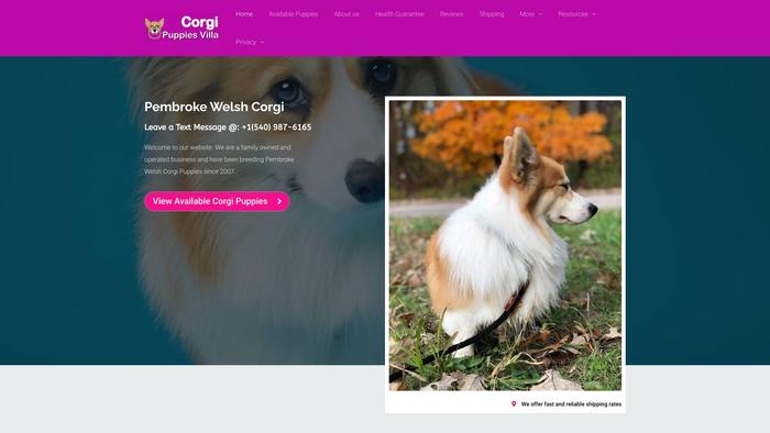 Corgipuppiesvilla.com - Corgi Puppy Scam Review