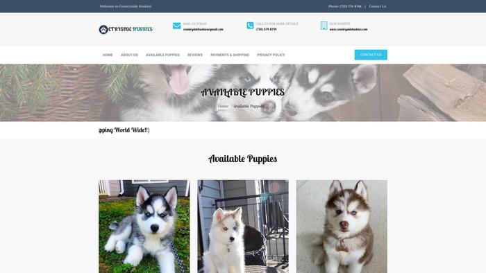 Countrysidehuskies.com - Husky Puppy Scam Review