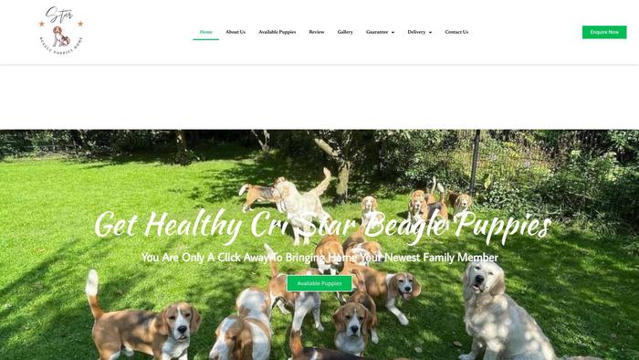 Cristarbeaglepuppies.com - Beagle Puppy Scam Review