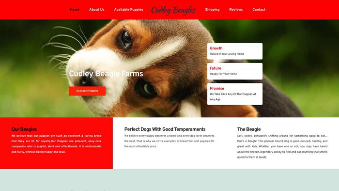 Cudleybeaglefarms.com - Beagle Puppy Scam Review