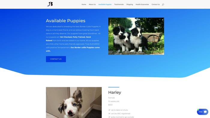 Cuteandjoyousbordercollie.com - Bordercollie Puppy Scam Review