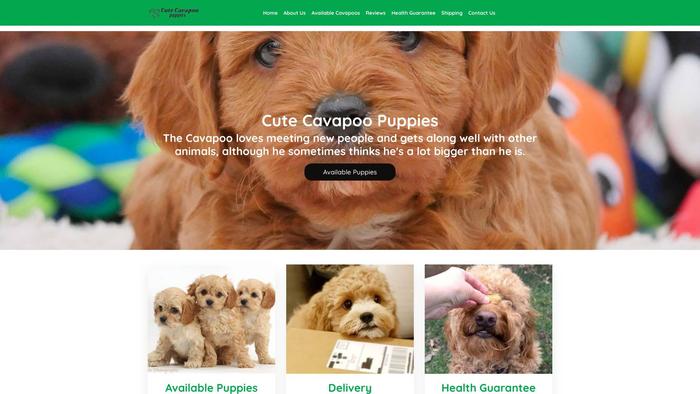 Cutecavapoopuppies.com - Cavapoo Puppy Scam Review