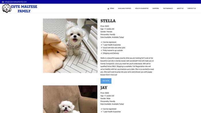 Cutemaltesefamily.com - Maltese Puppy Scam Review