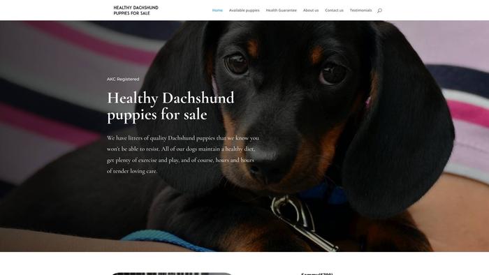 Dachshundfamilyy.com - Dachshund Puppy Scam Review