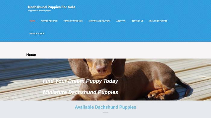 Dachshundforhome.store - Dachshund Puppy Scam Review