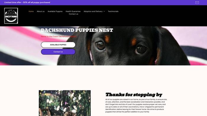 Dachshundpuppiesnest.com - Dachshund Puppy Scam Review