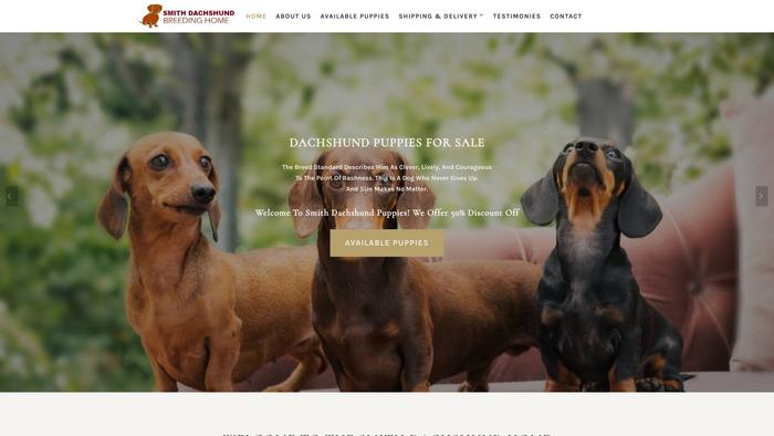 Dacshundspuppies.com - Dachshund Puppy Scam Review