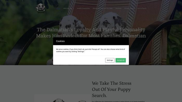 Dalmatianpets.store - Labrador Puppy Scam Review