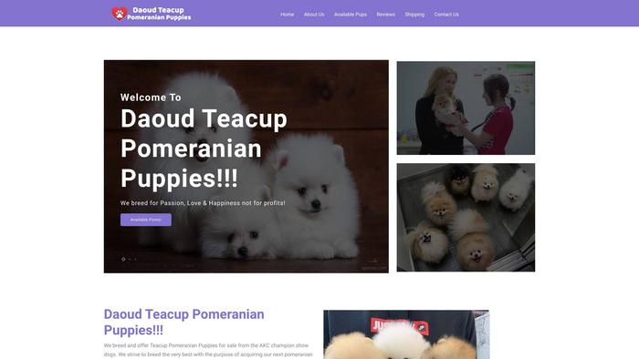 Daoudteacuppomeranianpuppies.com - Pomeranian Puppy Scam Review